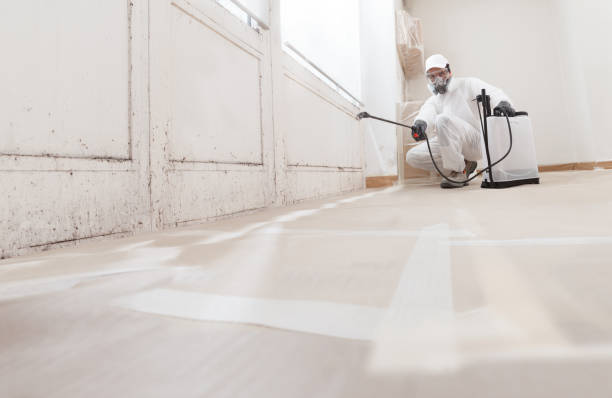 24/7 Emergency Mold Cleanup experts in Smithfield, VA