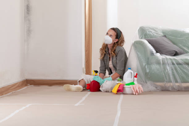 Reliable Mold Cleanup contractor in Smithfield, VA by Cheap Mold Removal